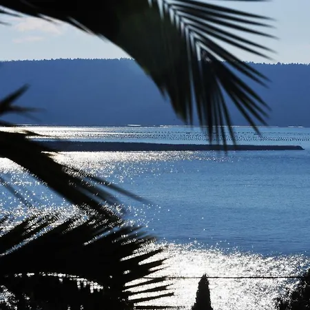 Pavlin * Portoroz